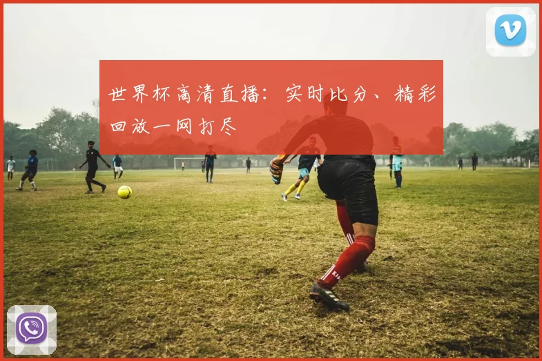 世界杯高清直播：实时比分、精彩回放一网打尽