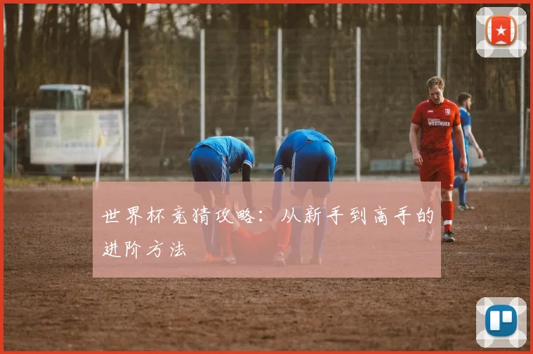 世界杯竞猜攻略:从新手到高手的进阶方法
