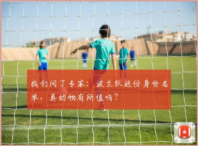 我们问了专家:波兰队这份身价名单,真的物有所值吗?