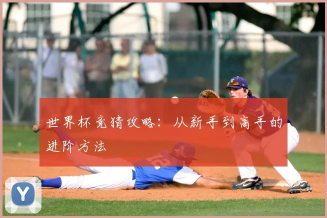 世界杯竞猜攻略:从新手到高手的进阶方法