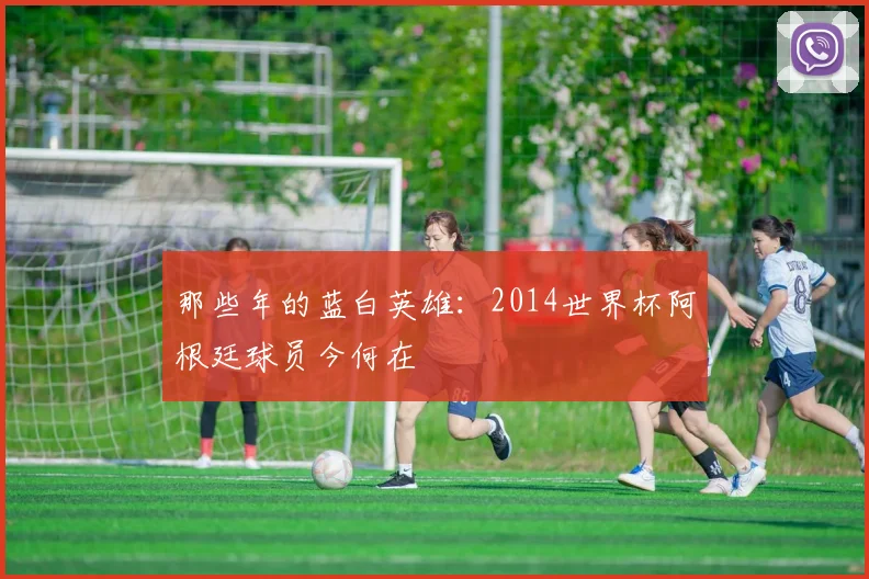 那些年的蓝白英雄:2014世界杯阿根廷球员今何在
