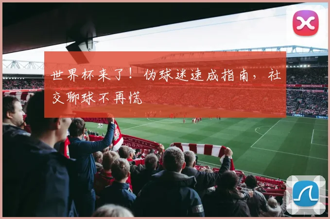 世界杯来了!伪球迷速成指南,社交聊球不再慌