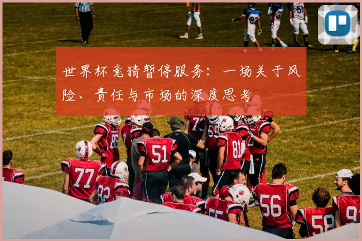 世界杯竞猜暂停服务:一场关于风险、责任与市场的深度思考