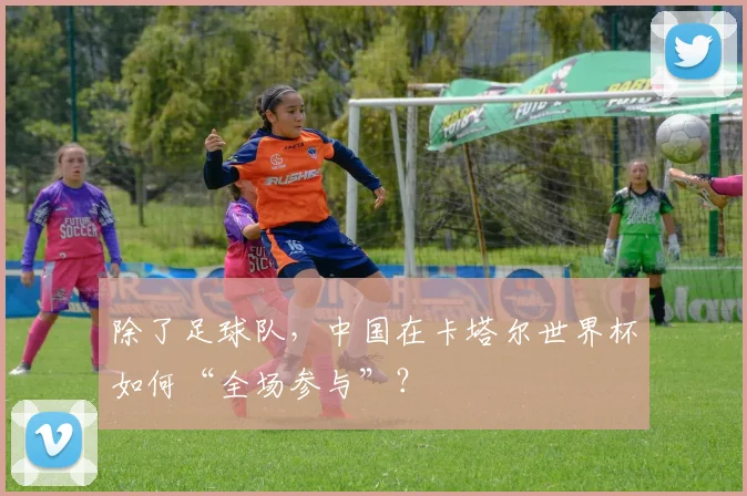 除了足球队，中国在卡塔尔世界杯如何“全场参与”？