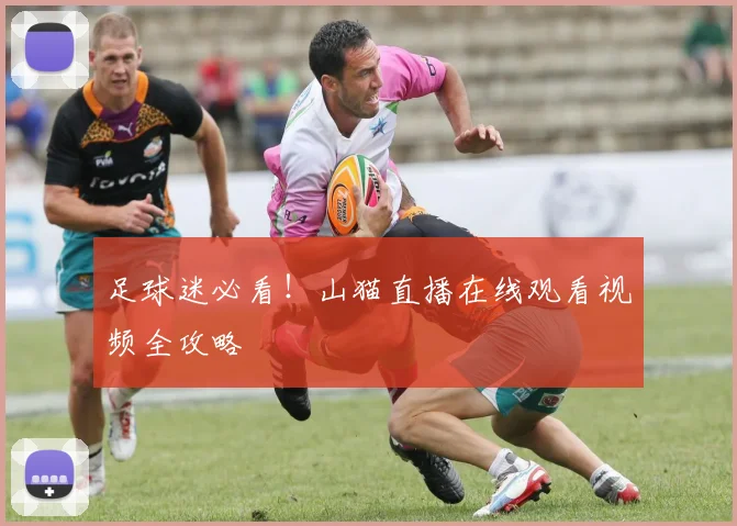 足球迷必看!山猫直播在线观看视频全攻略