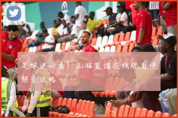 足球迷必看!山猫直播在线观看视频全攻略