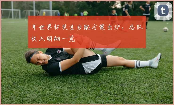 年世界杯奖金分配方案出炉，各队收入明细一览