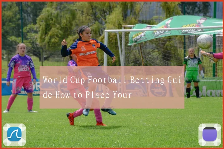 World Cup Football Betting Guide How to Place Your