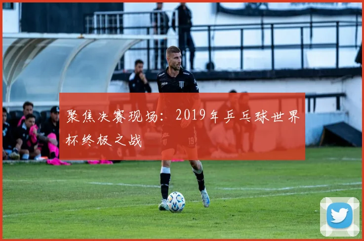 聚焦决赛现场：2019年乒乓球世界杯终极之战