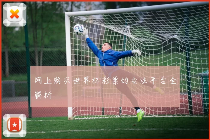 网上购买世界杯彩票的合法平台全解析