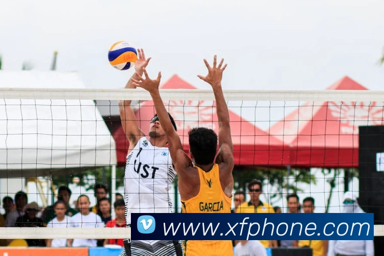 米兰体育官网登录入口发展历程