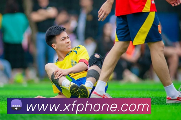 奖项证书